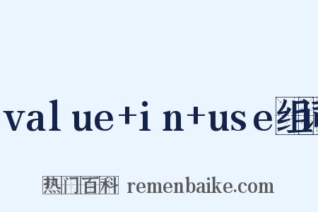 value+in+use组词是什么意思的图片